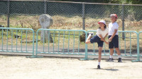 DSC07838-2