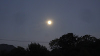 DSC02183