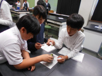 DSCN4808