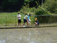DSCN5090