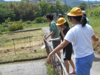 DSCN5094