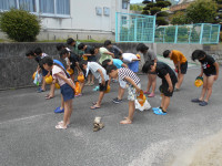 DSCN5124