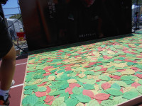 DSCN0173