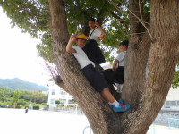 DSCN0486