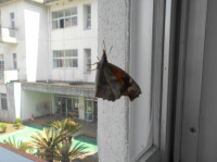 DSCN0565