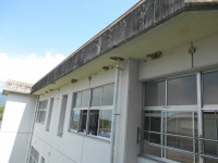 DSCN0573