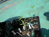 DSCN0576