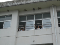 DSCN0005