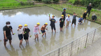 DSC05348-2