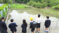 DSC05524-2