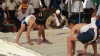 IMG_3383-2_LI