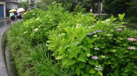 DSC08044-2