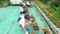 DSC08855-2_LI