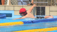 DSC00654-2