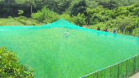 DSC00724-2