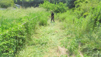 DSC00718-2