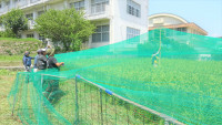 DSC00727-2
