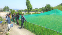 DSC00732-2
