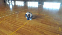DSC01305-2