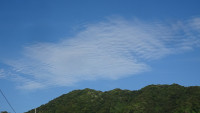 DSC01390