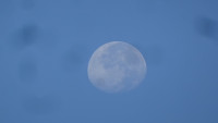 DSC02549