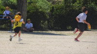 DSC01429-2