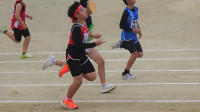 DSC02788-2_LI
