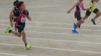 DSC02795-2
