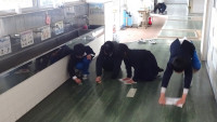 DSC00771-2