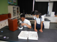 DSCN0499