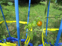 IMG_4500